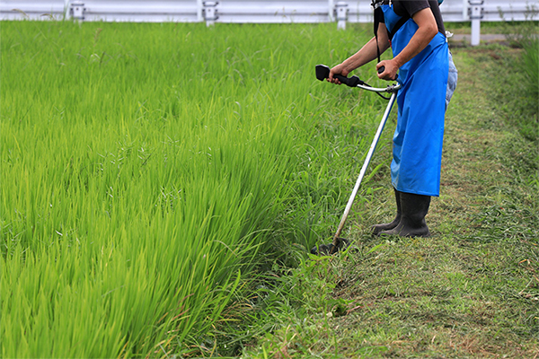 除草、草刈り