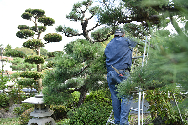 一級造園技能士のプロ集団